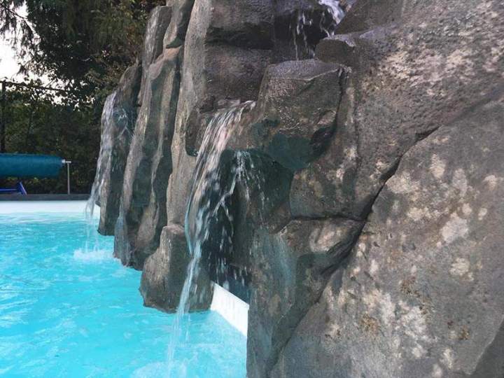 Aménagement de jardin aquatique pour piscine
